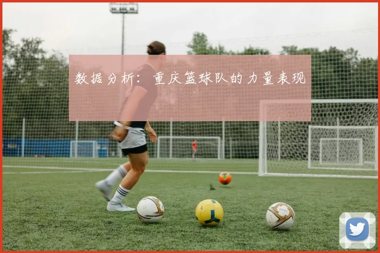 数据分析：重庆篮球队的力量表现