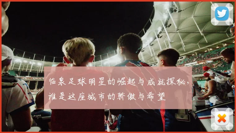 临泉足球明星的崛起与成就探秘，谁是这座城市的骄傲与希望