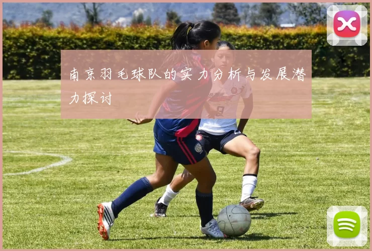 南京羽毛球队的实力分析与发展潜力探讨